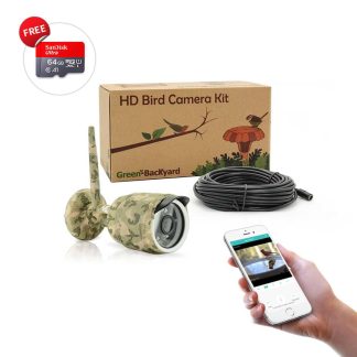 IP Bird Feeder Camera