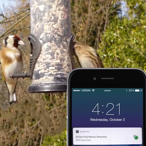 PenRux Caméra Intelligente Pour Mangeoire à Oiseaux Surveillance