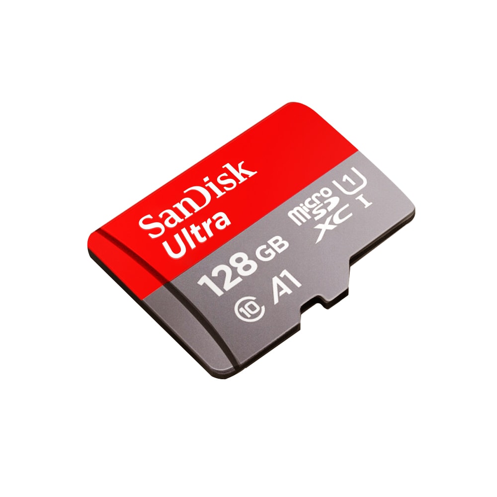 SanDisk 128GB TF (MicroSD) Memory Card - Green Backyard