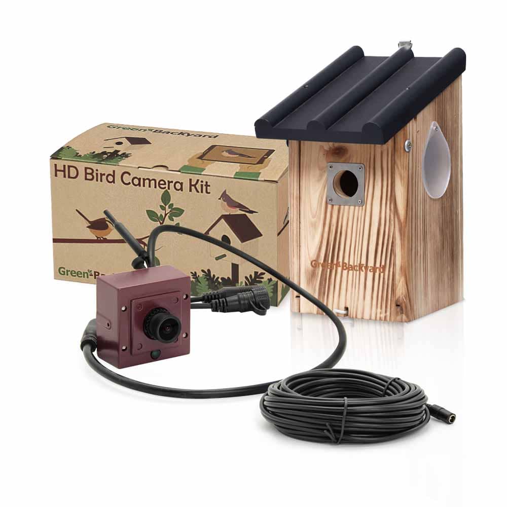 Nichoir avec caméra Wifi Bird Box