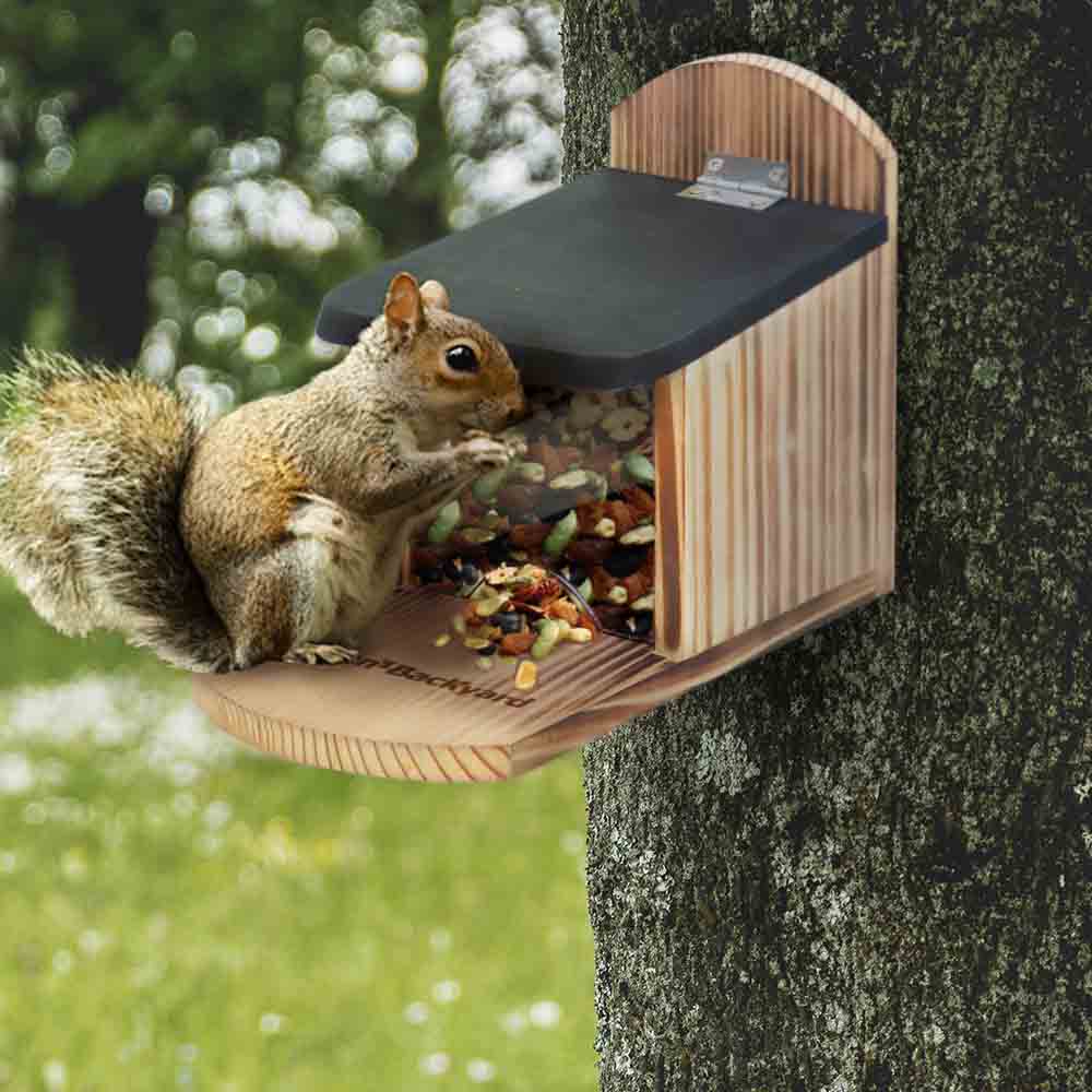 USA Squirrel feeder or Bird feeder 2.75 pound capacity Multi function Cedar NEW