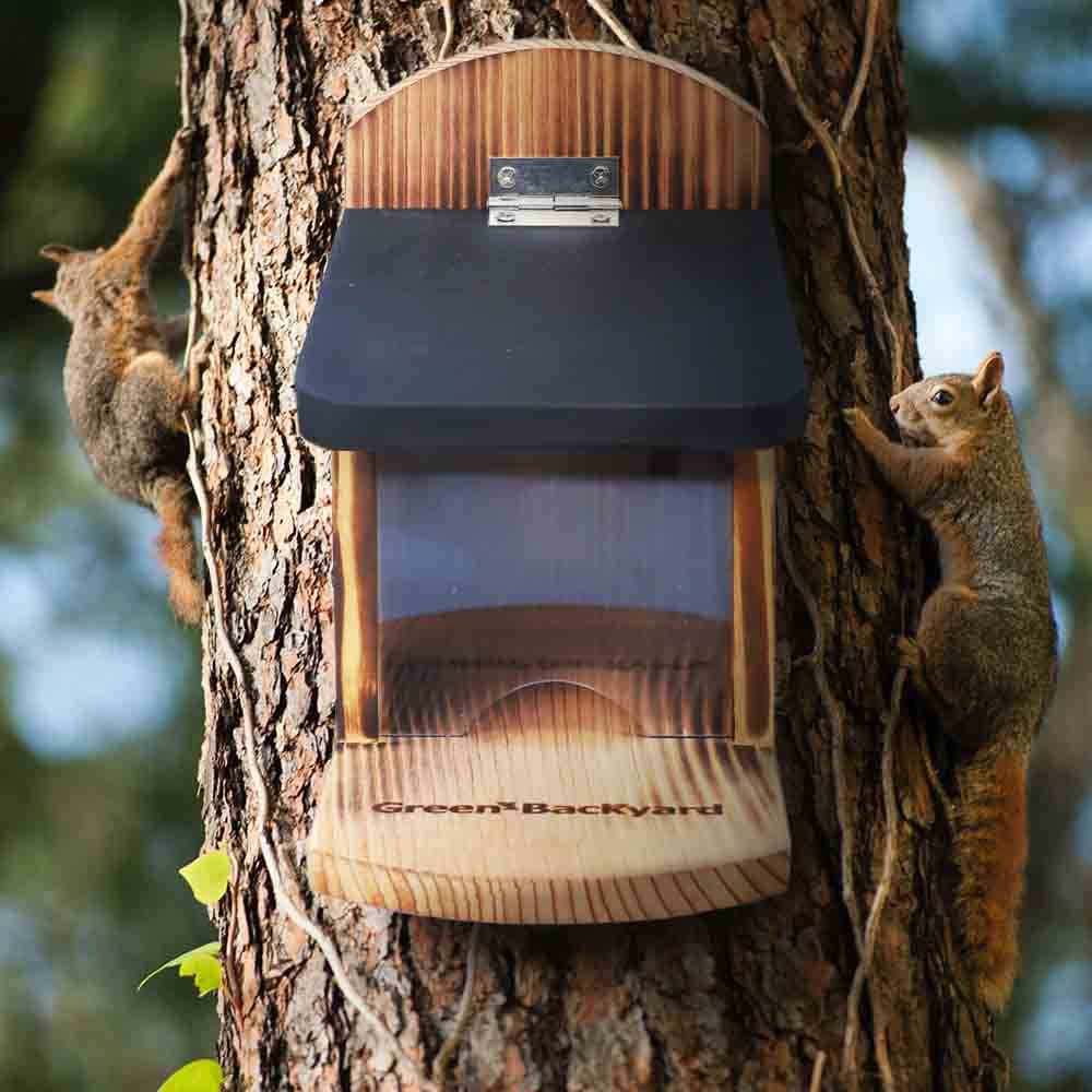 Fence Mount Gallon Glass Jar Squirrel Feeder Cedar Wood 