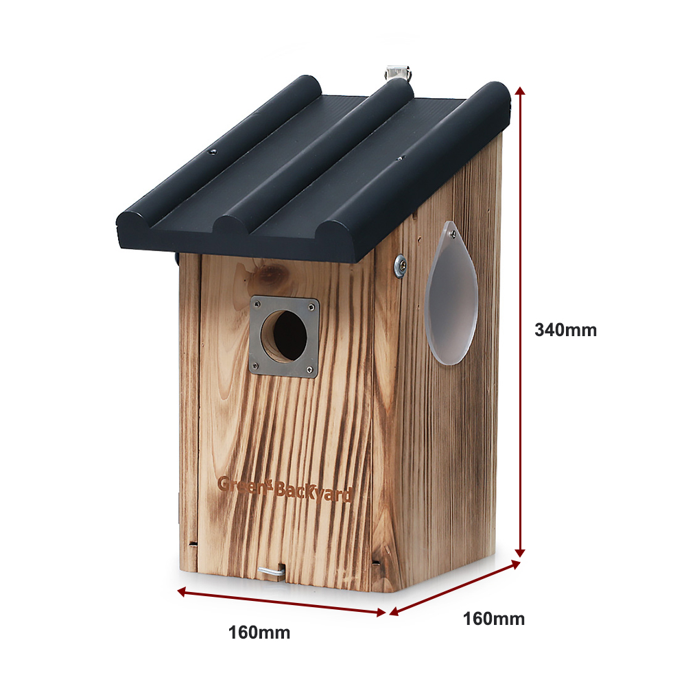 View Nest & Babies Made with Natural Red Cedar Educational Window Birdhouse 