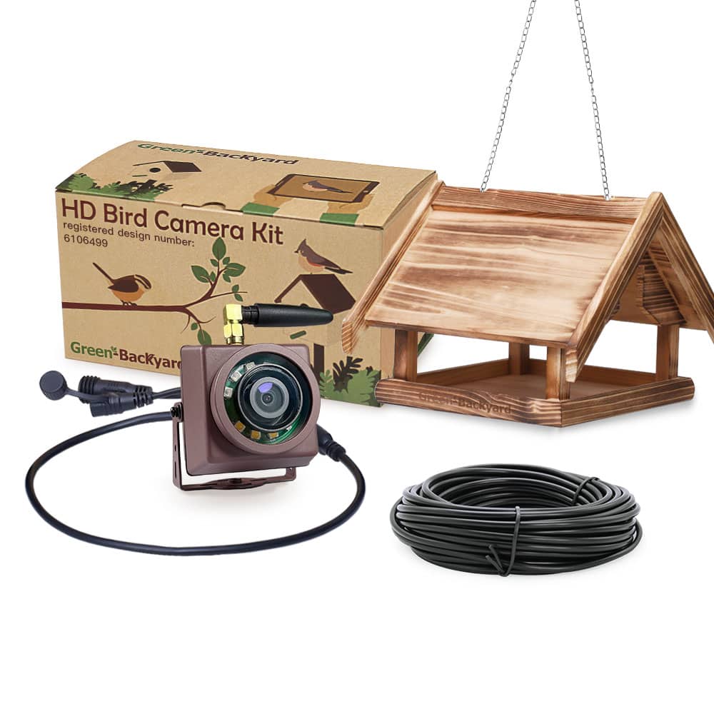 Mangeoire pour les oiseaux avec mini caméra IP - Green Backyard