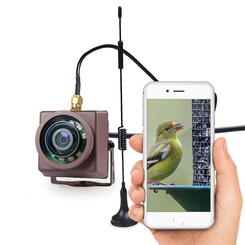 Caméra d'alimentation d'oiseaux IP sans fil longue portée - Green