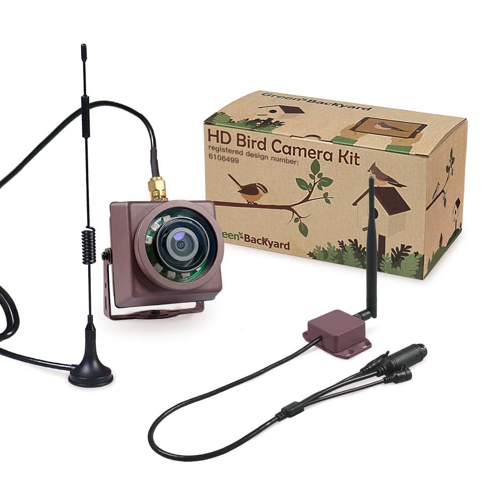 Long Range Wireless IP Bird Feeder Camera Green Backyard