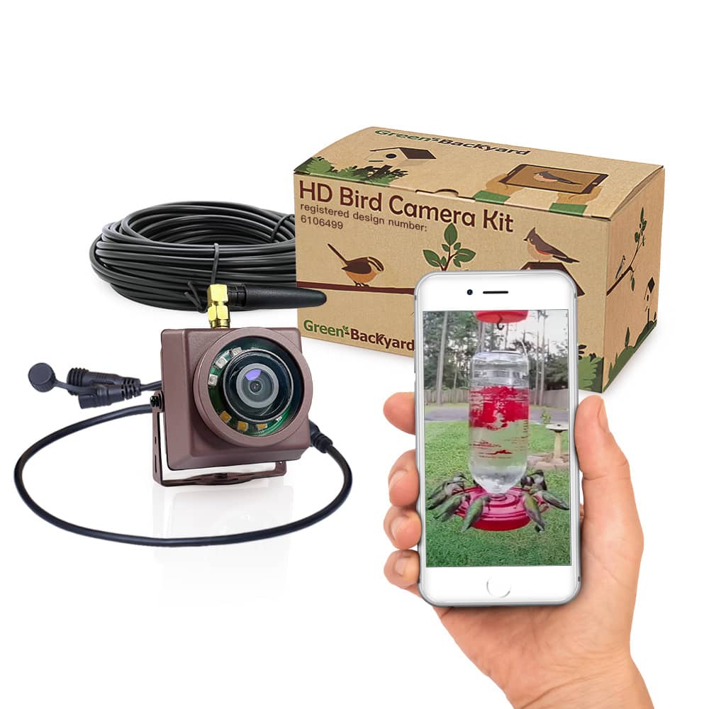 Caméra Nichoir WiFi Paquet - Green Backyard