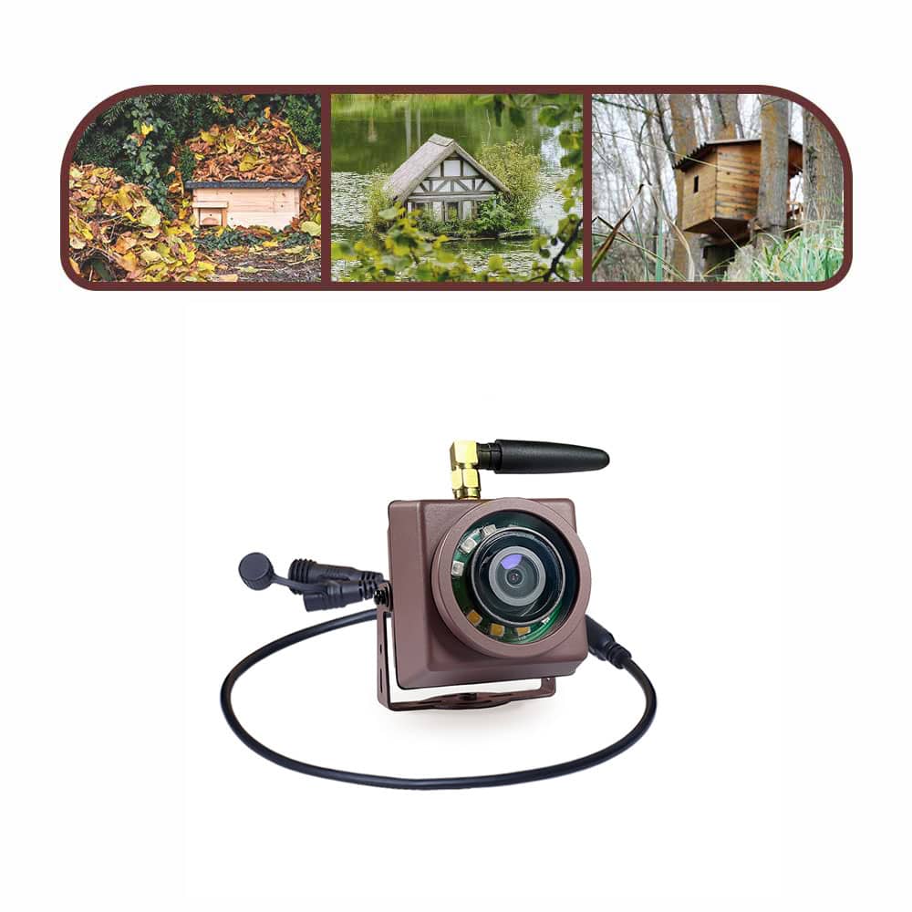 Mini caméra WiFi pour mangeoire à oiseaux - Green Backyard