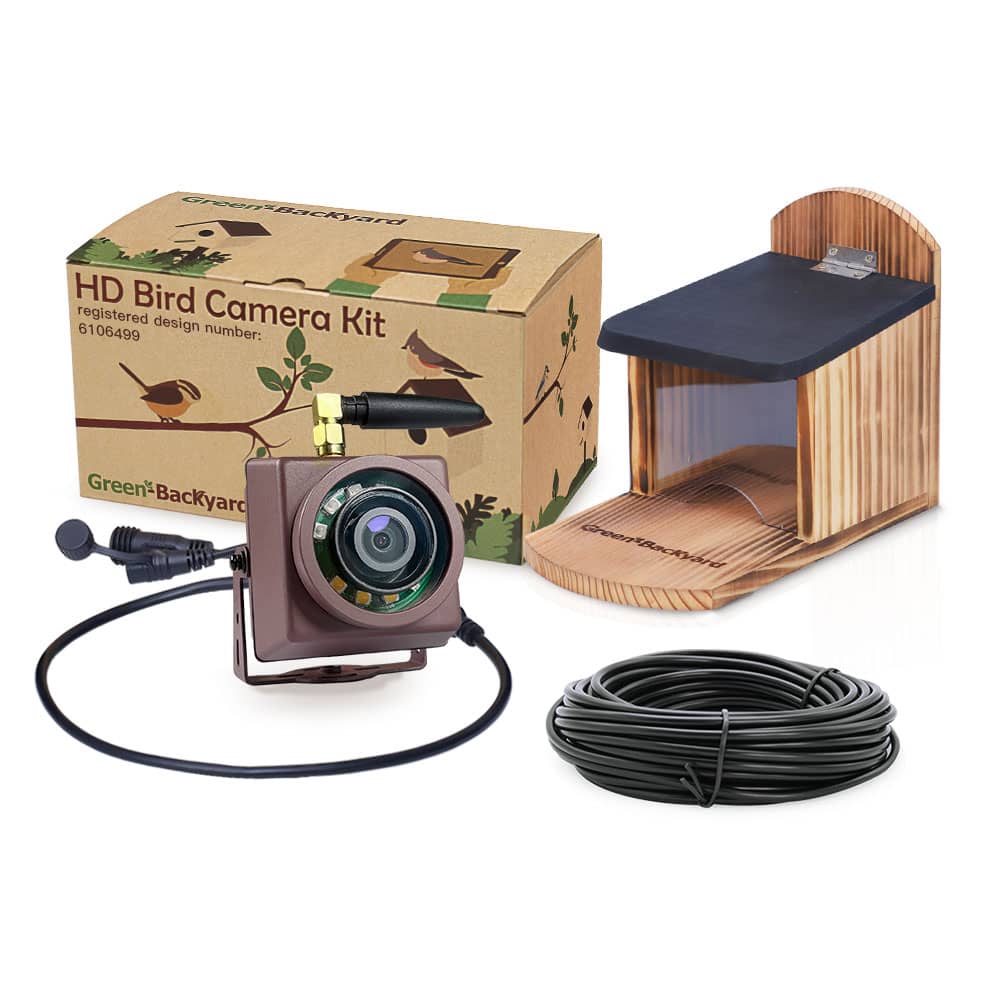 Wireless Bird Box Camera - Green Backyard