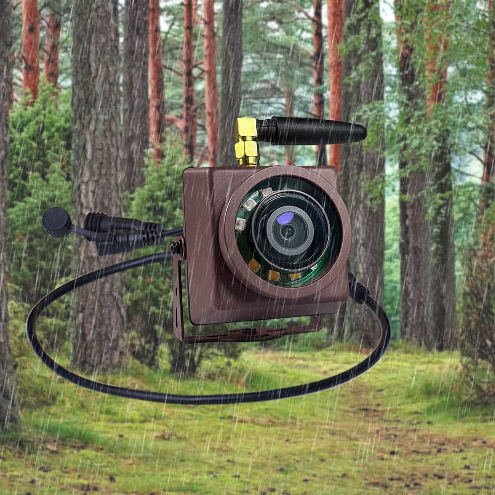 Mini caméra WiFi pour mangeoire à oiseaux - Green Backyard