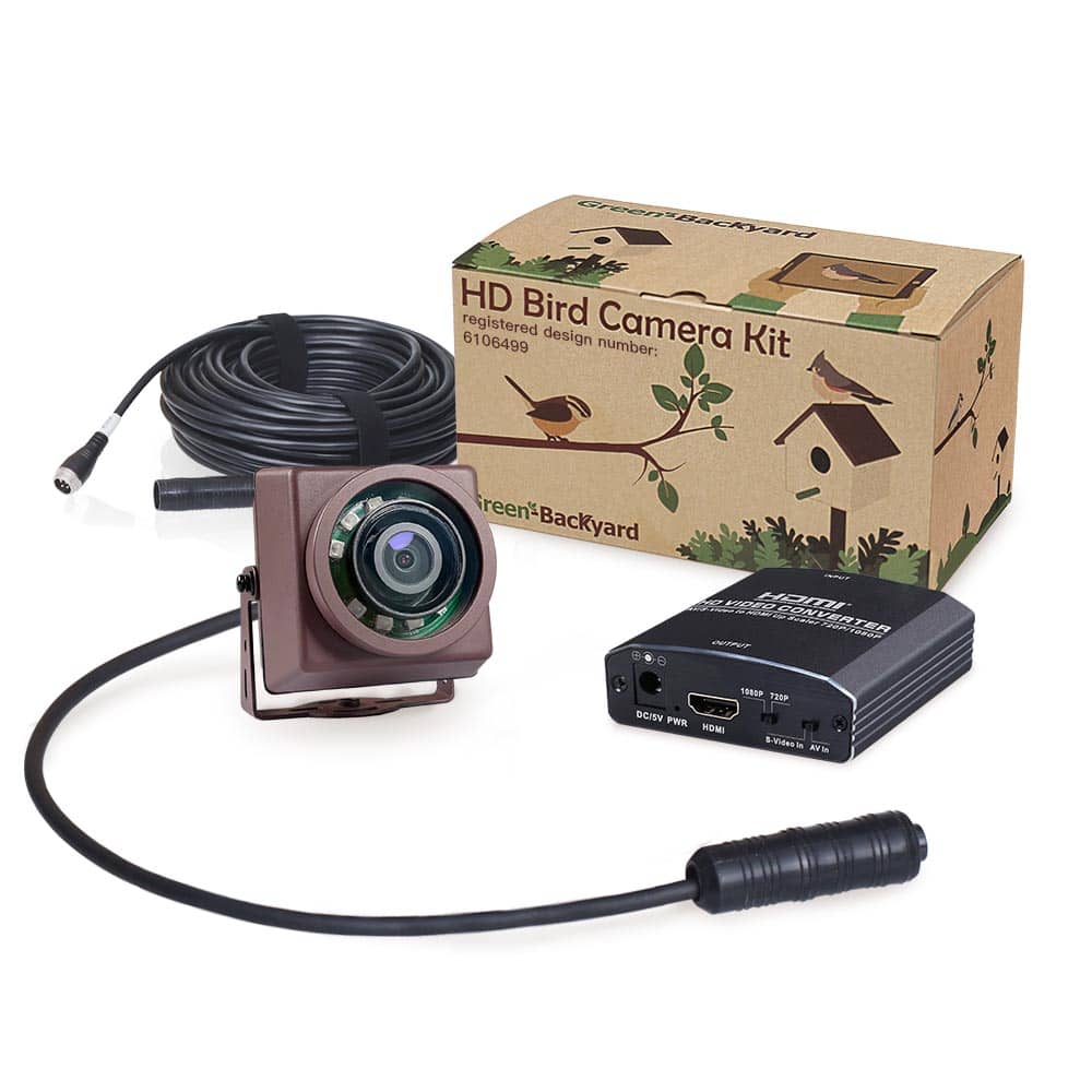 TV Bird Camera HDMI Box - Green