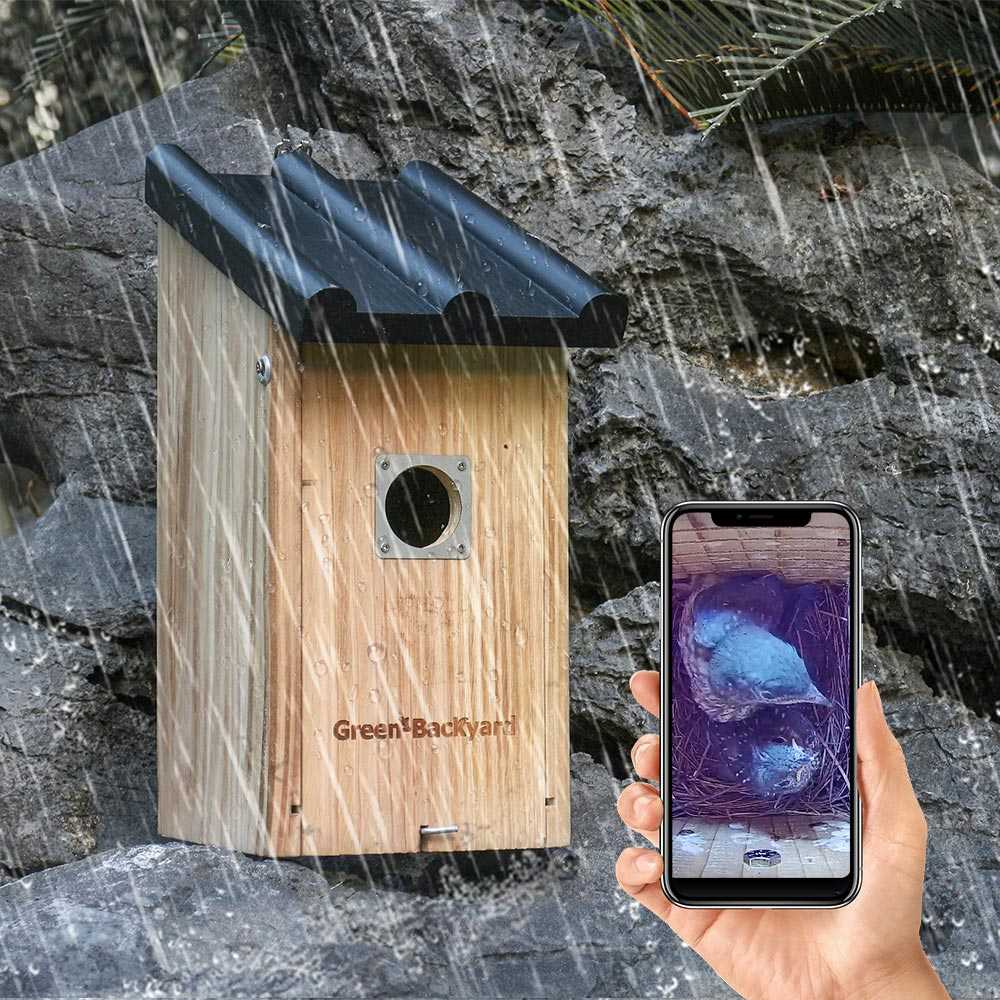 Nichoir Caméras : Comment visualiser des vidéos d'oiseaux en direct sur  votre smartphone 