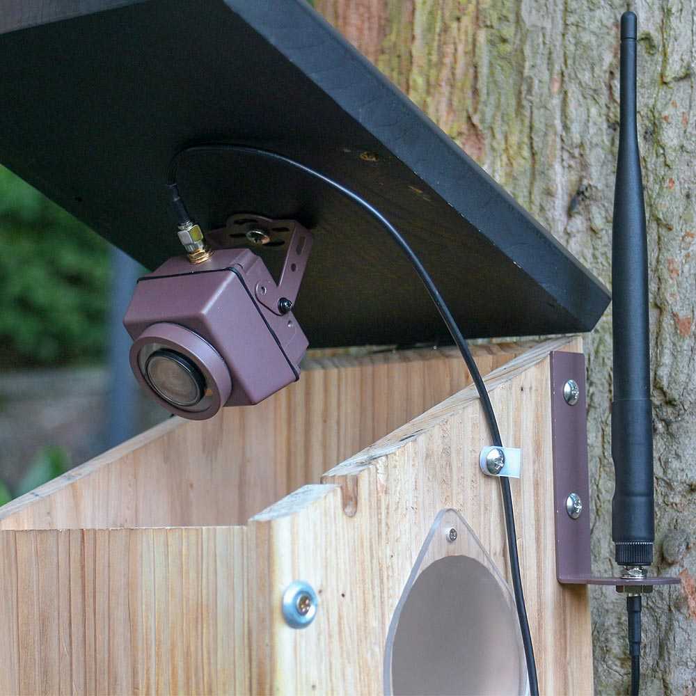 halsband koppeling Voorganger WiFi Nestkast Camera met Draadloze Repeater - Green Backyard
