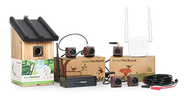 Green-Backyard Bird Box Camera